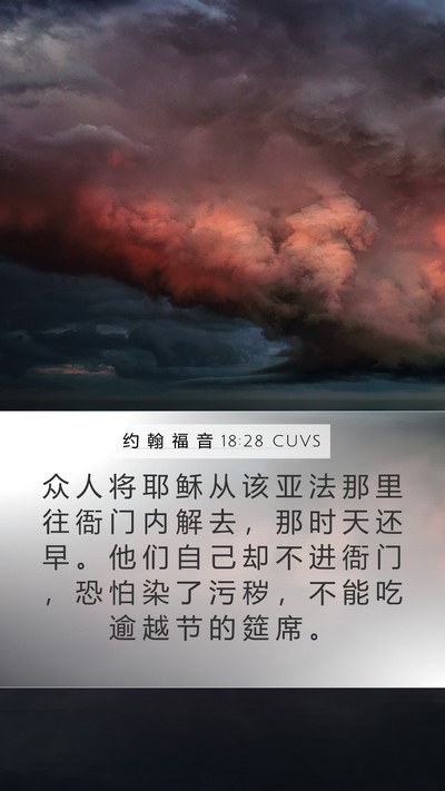 约 翰 福 音 18:28 CUVS Bible Verse Image