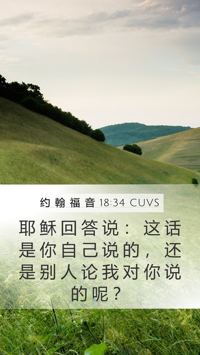 约 翰 福 音 18:34 CUVS Mobile Phone Wallpaper - 耶 稣 回 答 说 ： 这 话 是 你 自 己 - Mobile Bible Verse Wallpaper