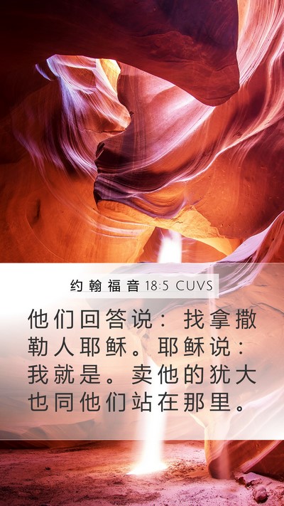 约 翰 福 音 18:5 CUVS Bible Verse Image