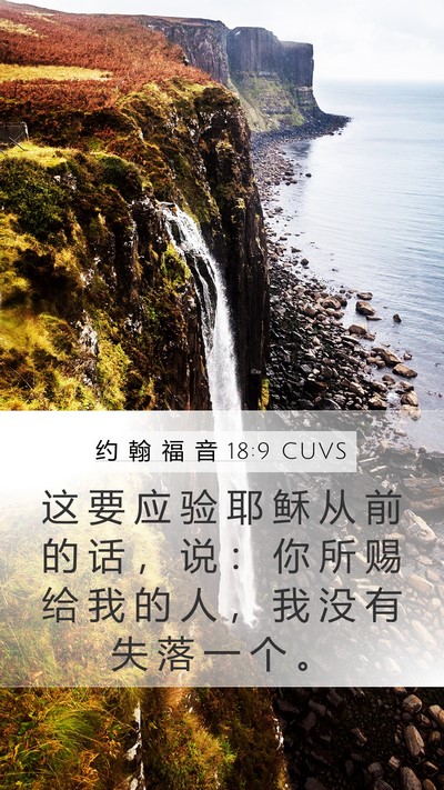 约 翰 福 音 18:9 CUVS Bible Verse Image