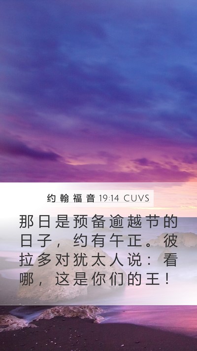 约 翰 福 音 19:14 CUVS Bible Verse Image