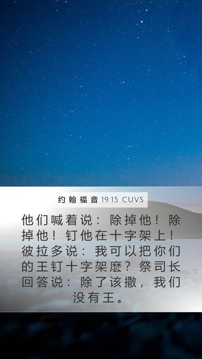 约 翰 福 音 19:15 CUVS Bible Verse Image