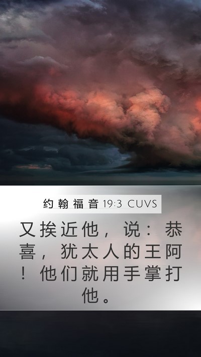 约 翰 福 音 19:3 CUVS Bible Verse Image