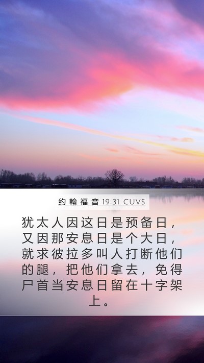 约 翰 福 音 19:31 CUVS Bible Verse Image