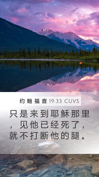 约 翰 福 音 19:33 CUVS Bible Verse Image