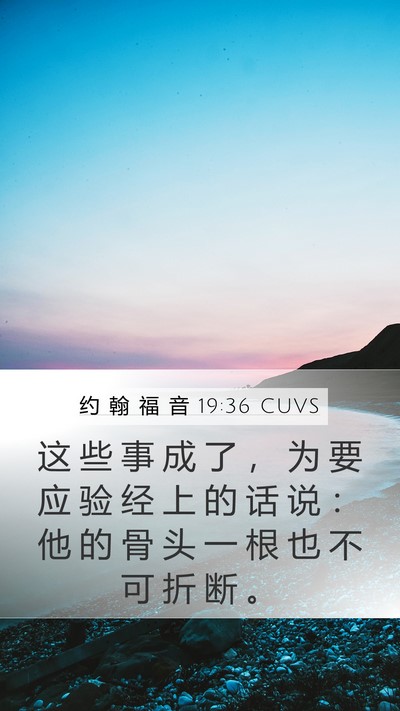 约 翰 福 音 19:36 CUVS Bible Verse Image