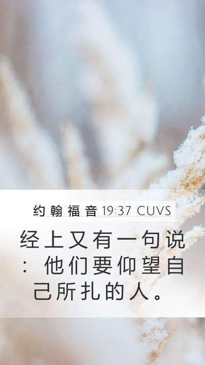约 翰 福 音 19:37 CUVS Bible Verse Image