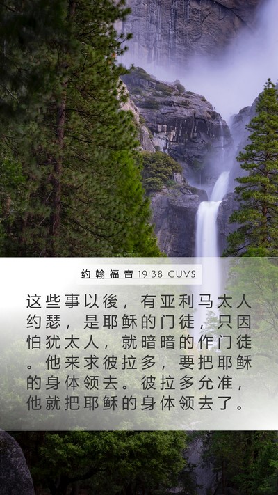 约 翰 福 音 19:38 CUVS Bible Verse Image