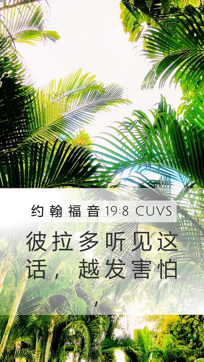 约 翰 福 音 19:8 CUVS Bible Verse Image