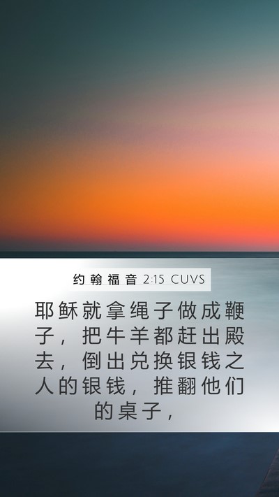 约 翰 福 音 2:15 CUVS Bible Verse Image