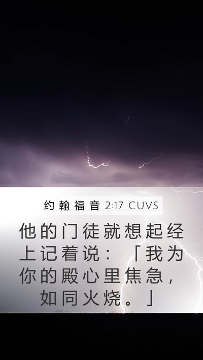 约 翰 福 音 2:17 CUVS Bible Verse Image