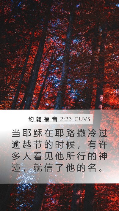 约 翰 福 音 2:23 CUVS Bible Verse Image