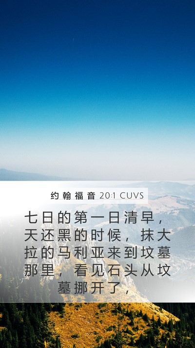 约 翰 福 音 20:1 CUVS Bible Verse Image