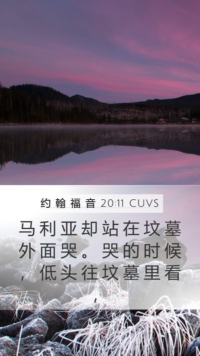 约 翰 福 音 20:11 CUVS Bible Verse Image