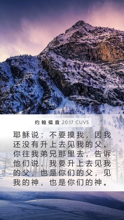 约 翰 福 音 20:17 CUVS Bible Verse Image