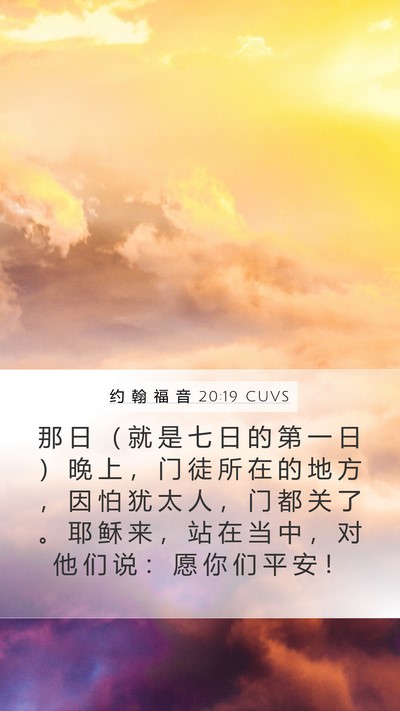 约 翰 福 音 20:19 CUVS Bible Verse Image