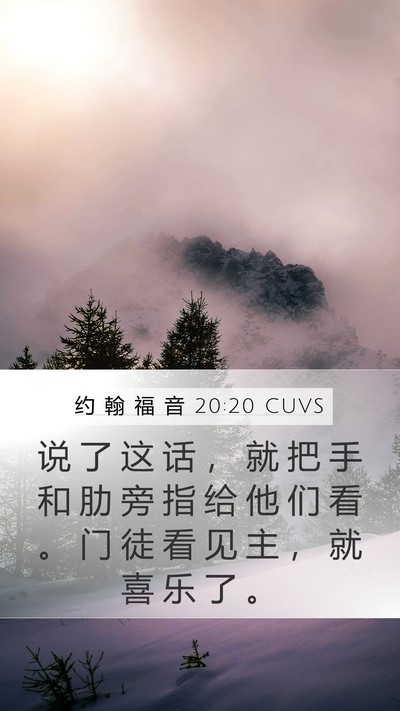 约 翰 福 音 20:20 CUVS Bible Verse Image