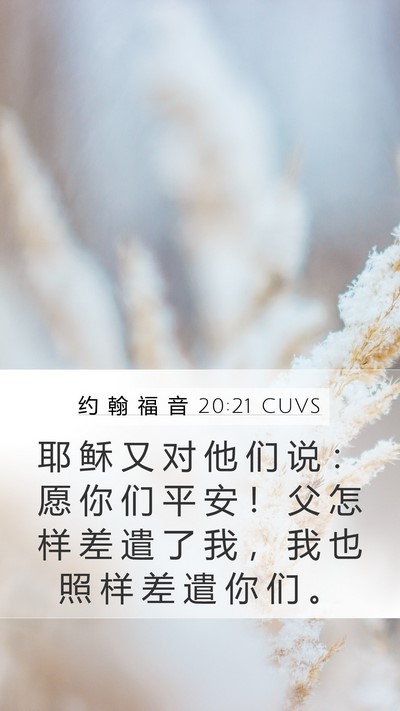约 翰 福 音 20:21 CUVS Bible Verse Image