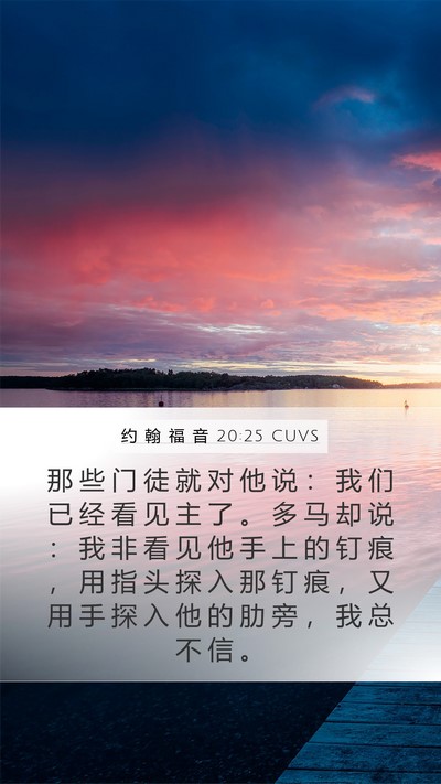 约 翰 福 音 20:25 CUVS Bible Verse Image