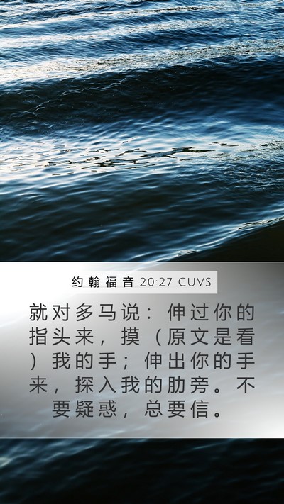 约 翰 福 音 20:27 CUVS Bible Verse Image