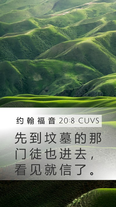 约 翰 福 音 20:8 CUVS Bible Verse Image
