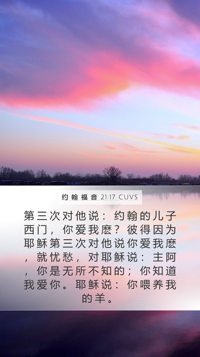约 翰 福 音 21:17 CUVS Bible Verse Image