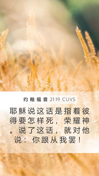 约 翰 福 音 21:19 CUVS Bible Verse Image