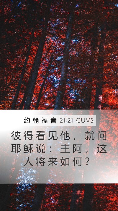 约 翰 福 音 21:21 CUVS Bible Verse Image
