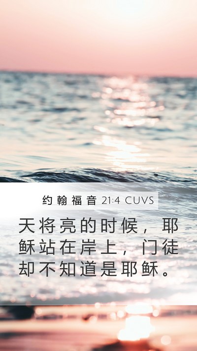 约 翰 福 音 21:4 CUVS Bible Verse Image