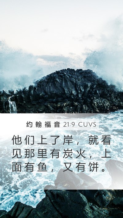 约 翰 福 音 21:9 CUVS Bible Verse Image