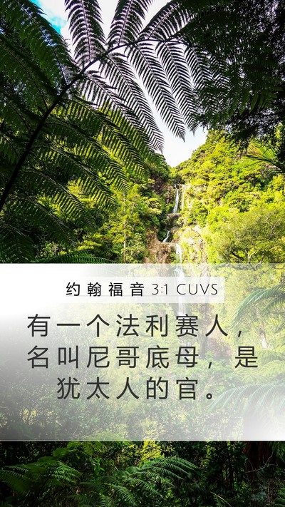 约 翰 福 音 3:1 CUVS Bible Verse Image