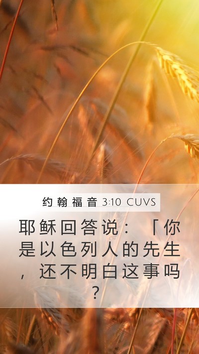 约 翰 福 音 3:10 CUVS Bible Verse Image