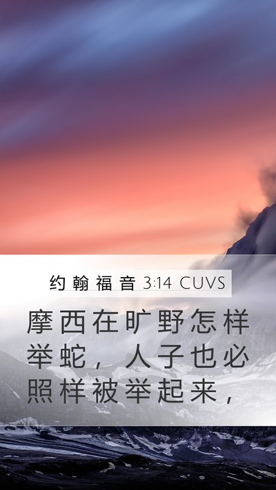 约 翰 福 音 3:14 CUVS Bible Verse Image