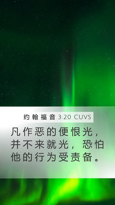 约 翰 福 音 3:20 CUVS Bible Verse Image