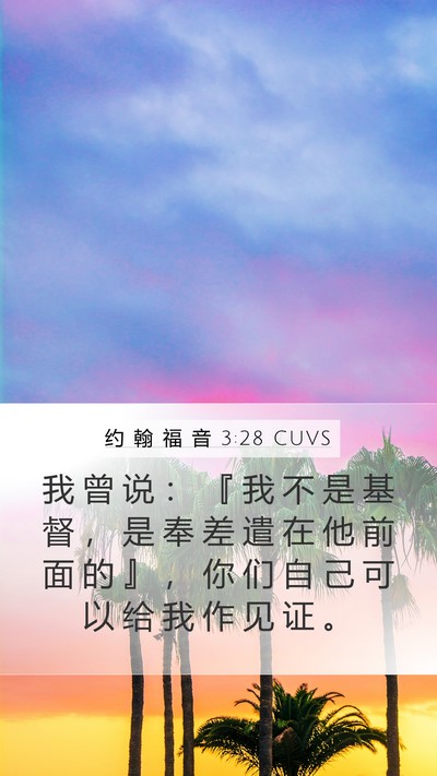 约 翰 福 音 3:28 CUVS Bible Verse Image
