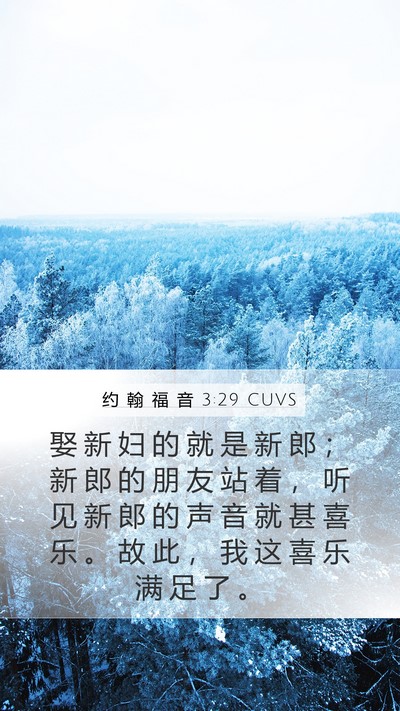 约 翰 福 音 3:29 CUVS Bible Verse Image