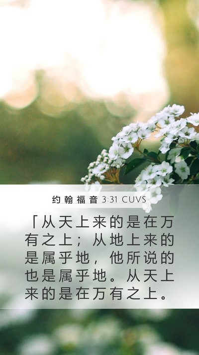 约 翰 福 音 3:31 CUVS Bible Verse Image