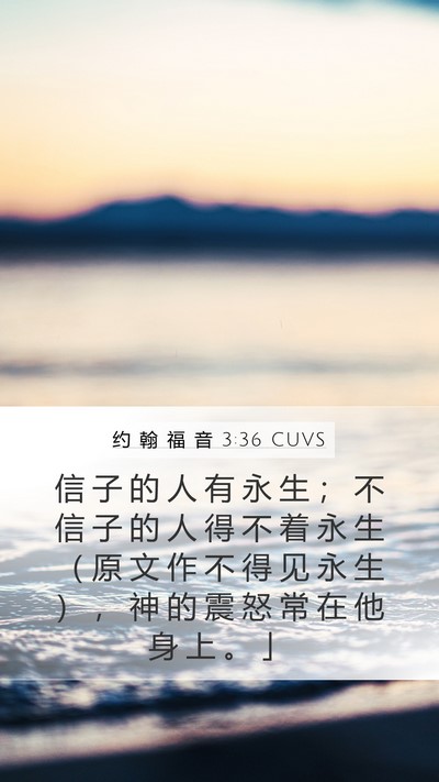 约 翰 福 音 3:36 CUVS Bible Verse Image