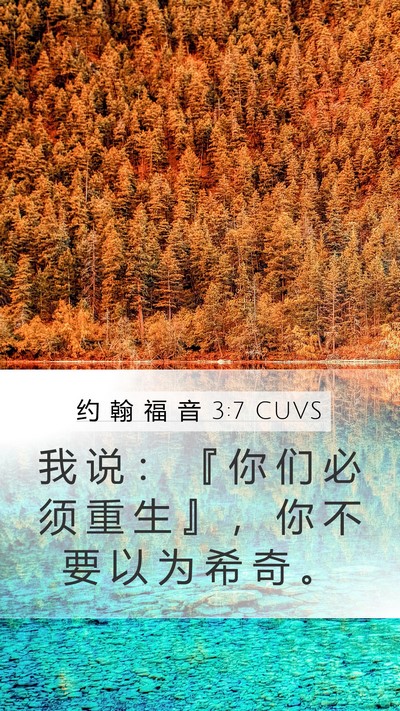 约 翰 福 音 3:7 CUVS Mobile Phone Wallpaper - 我 说 ： 『 你 们 必 须 重 生 』 ， - Mobile Bible Verse Wallpaper