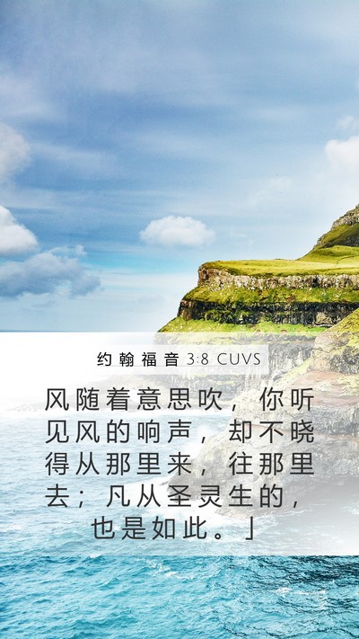 约 翰 福 音 3:8 CUVS Bible Verse Image