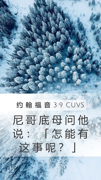 约 翰 福 音 3:9 CUVS Mobile Phone Wallpaper - 尼 哥 底 母 问 他 说 ： 「 怎 能 有 - Mobile Bible Verse Wallpaper