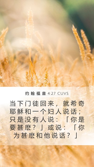 约 翰 福 音 4:27 CUVS Bible Verse Image