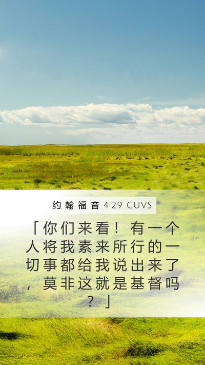 约 翰 福 音 4:29 CUVS Bible Verse Image