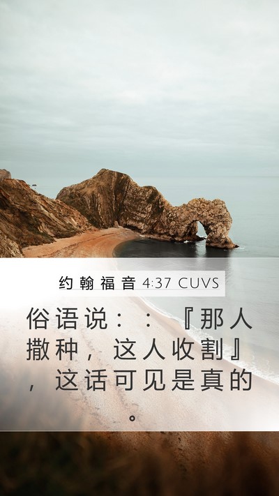 约 翰 福 音 4:37 CUVS Mobile Phone Wallpaper - 俗 语 说 ： ： 『 那 人 撒 种 ， 这 - Mobile Bible Verse Wallpaper