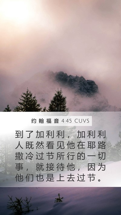 约 翰 福 音 4:45 CUVS Bible Verse Image