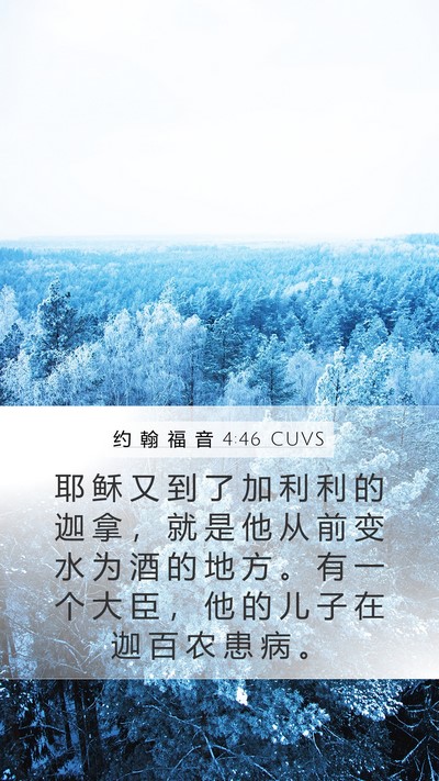 约 翰 福 音 4:46 CUVS Bible Verse Image