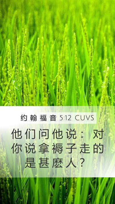 约 翰 福 音 5:12 CUVS Bible Verse Image