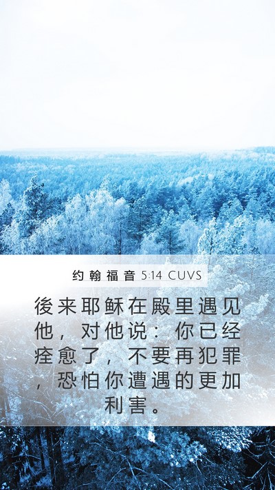 约 翰 福 音 5:14 CUVS Bible Verse Image