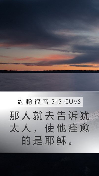 约 翰 福 音 5:15 CUVS Bible Verse Image