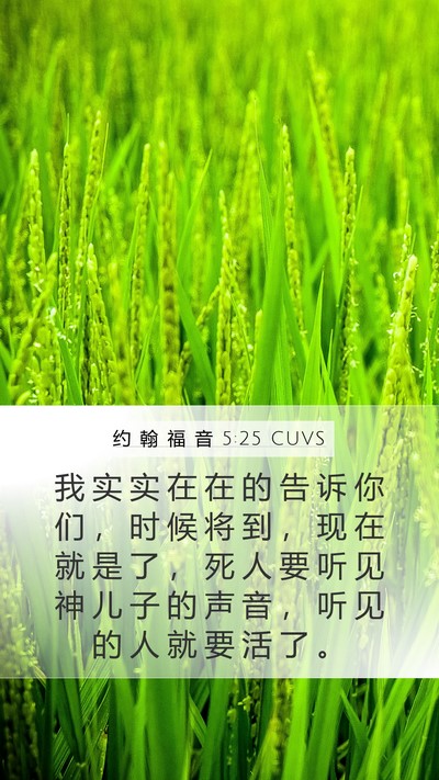 约 翰 福 音 5:25 CUVS Bible Verse Image